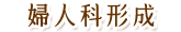 婦人科形成