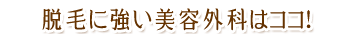 婦人科形成に強い美容外科はココ！