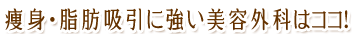 痩身・脂肪吸引に強い美容外科はココ！